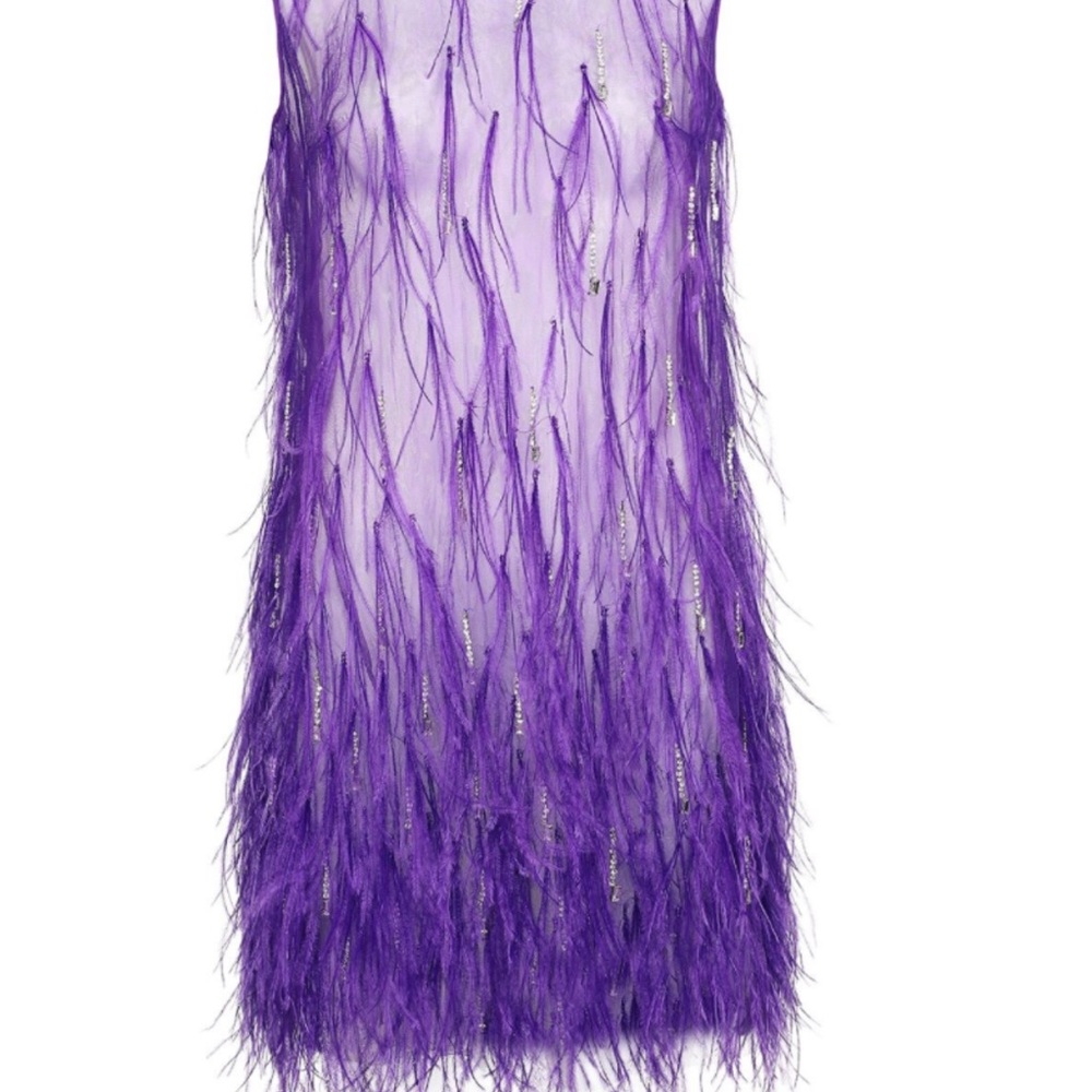 Feather Embellished Elegant Purple Sheer Dress with second piece under dress - Picture 15 of 15